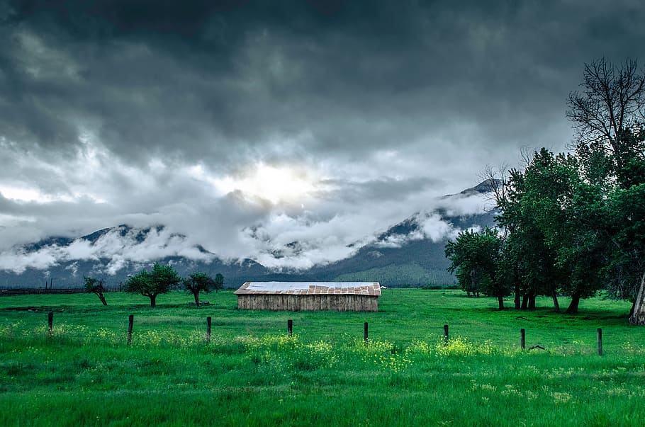green, grass, lawn, field, nature, trees, plant, mountain, highland HD wallpaper