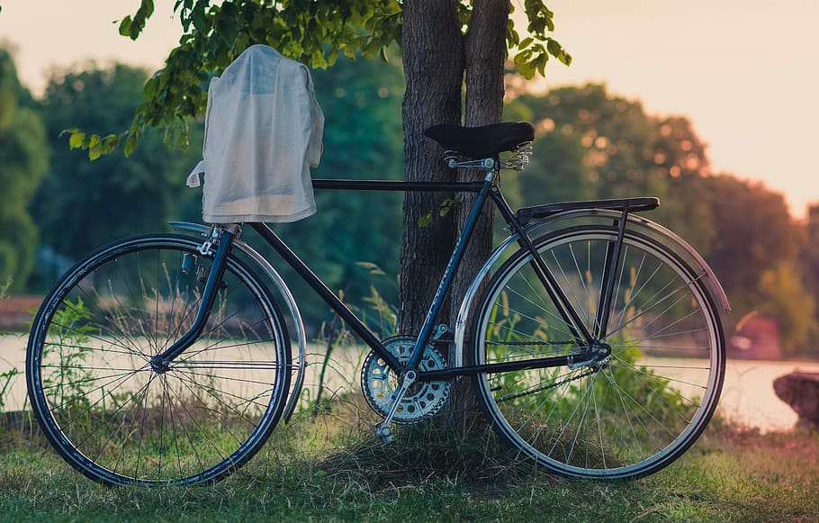 black city bike leaning on tree trunk during sunset, bicycle HD wallpaper