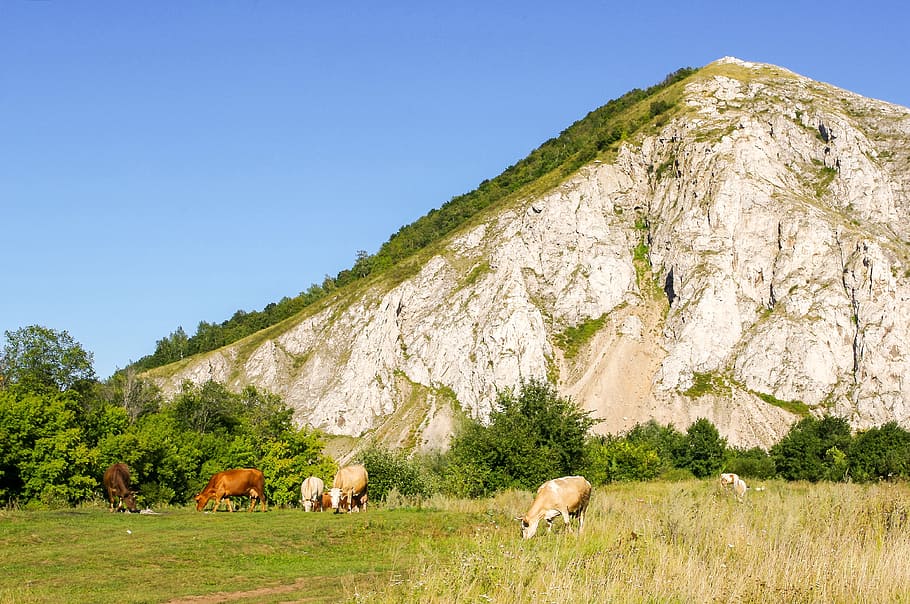 nature, landscape, grass, sky, outdoors, summer, stone, hill HD wallpaper