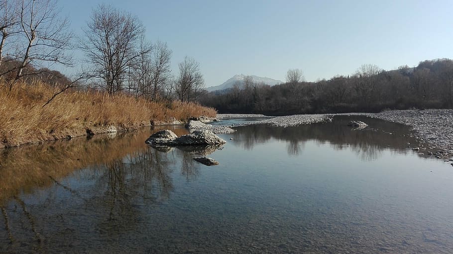 river, winter, marecchia, water, reflection, tree, tranquility HD wallpaper