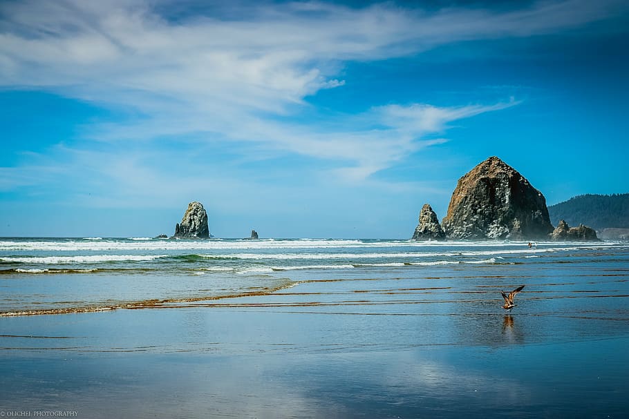 seawaves under white clouds at daytime, beach, oregon, sand HD wallpaper