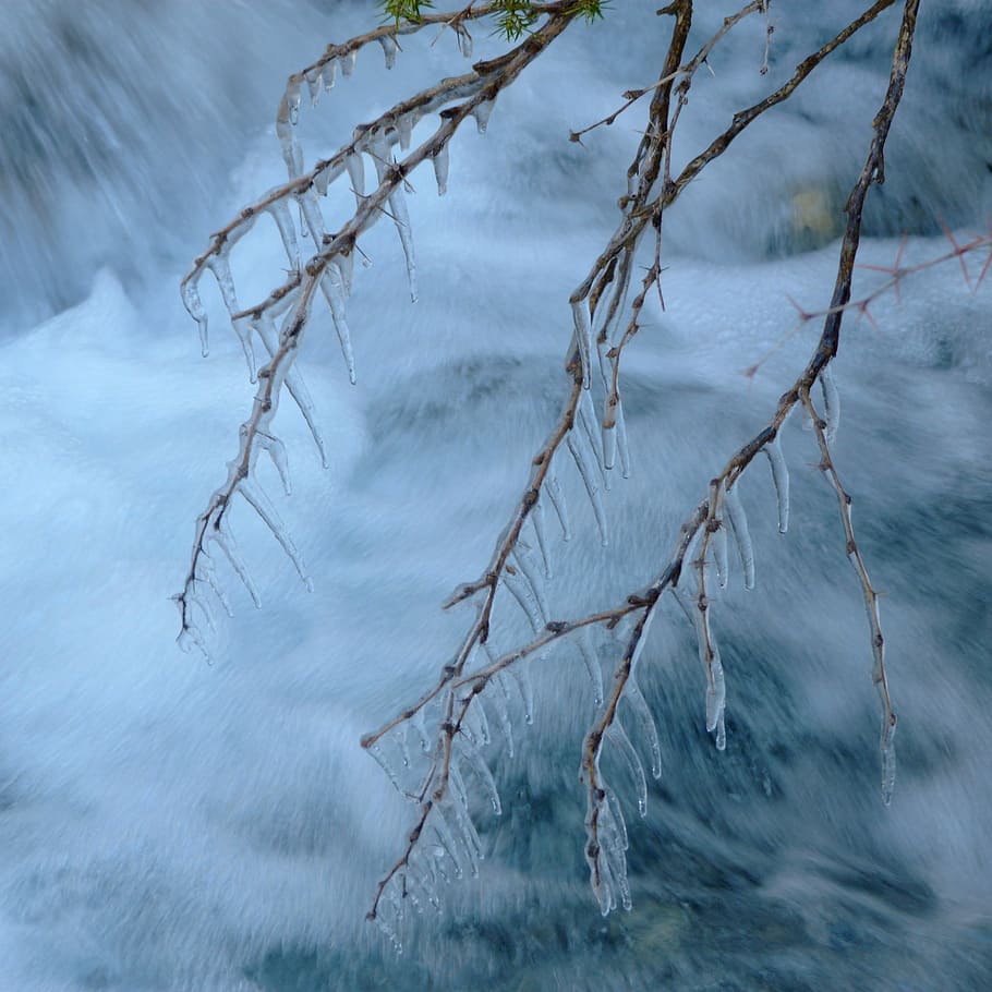 Frost, Branch, Cold, Winter, Ice, Water, ice formations, cascade HD wallpaper