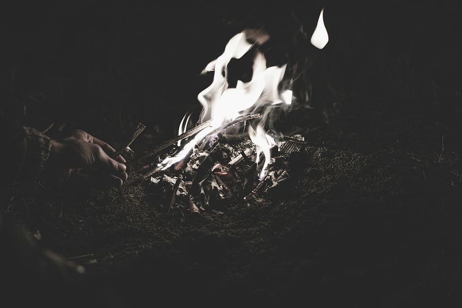 grayscale photography of bonfire, person holding stick near firewood HD wallpaper