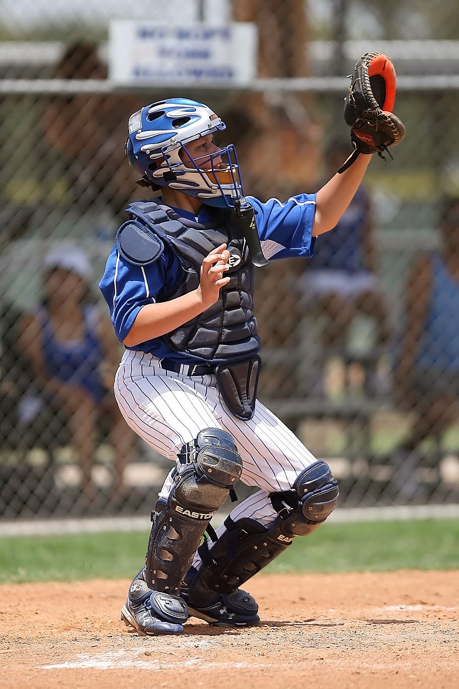 baseball, game, player, catcher, sport, field, competition HD wallpaper