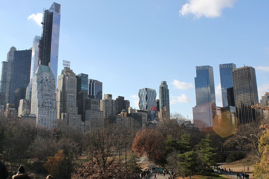 new york, central, park, building exterior, architecture, built structure HD wallpaper