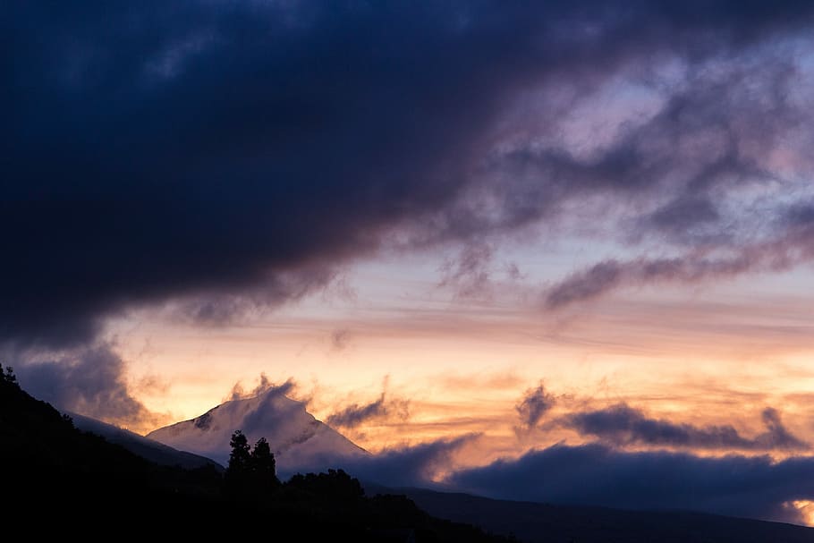 trees under gray clouds, untitled, sky, sunset sky, dusk, dawn HD wallpaper