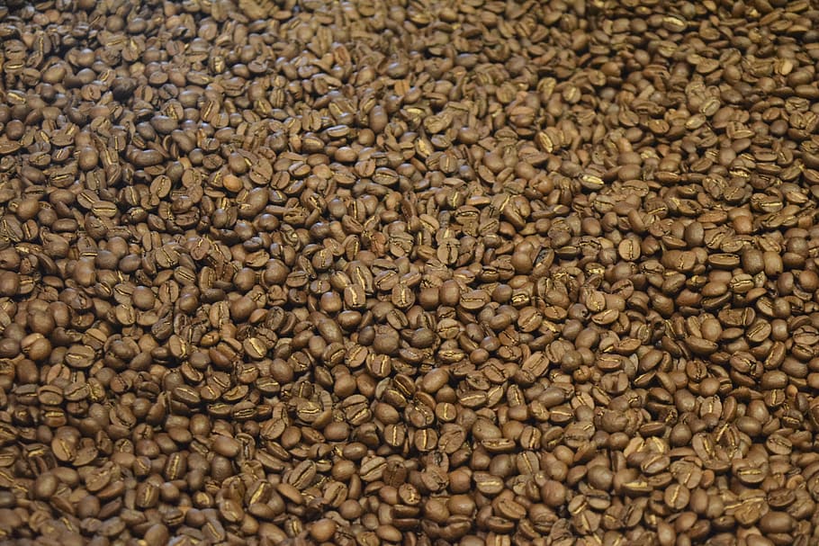 coffee bean lot, beans, espresso, roasted, roaster, caffeine HD wallpaper