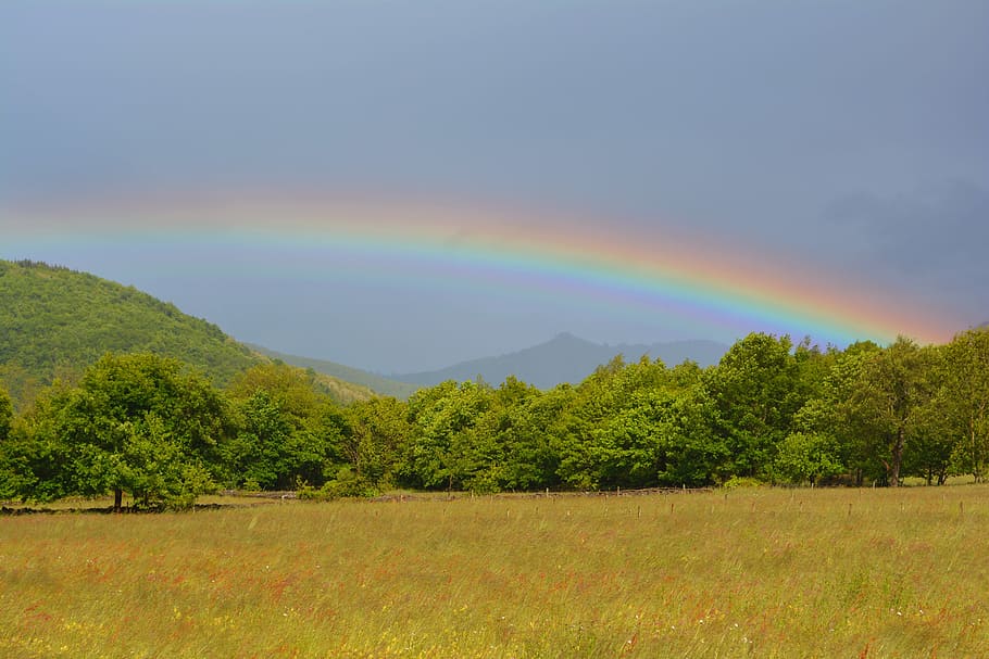 Rainbow, Multicolor, Sun, Prairie, landscape, scenics, nature, HD wallpaper