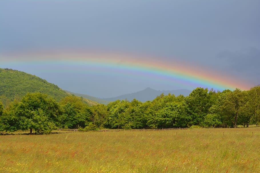 Rainbow, Multicolor, Sun, Prairie, landscape, scenics, nature HD wallpaper