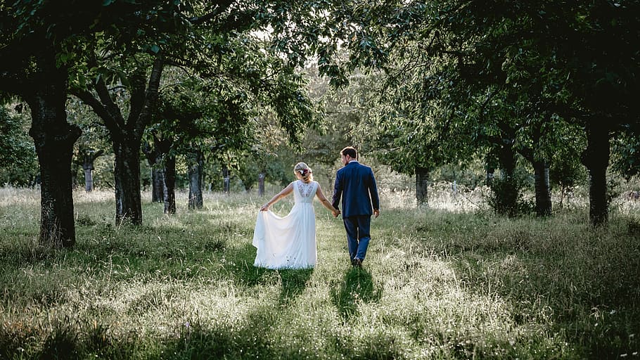 bride and groom walking on grass field between treeline photo, man and woman walking between trees HD wallpaper