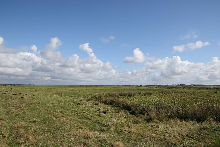 Landscape, Clouds, Blue, Sky, Natural, sol, blue sky, denmark HD wallpaper