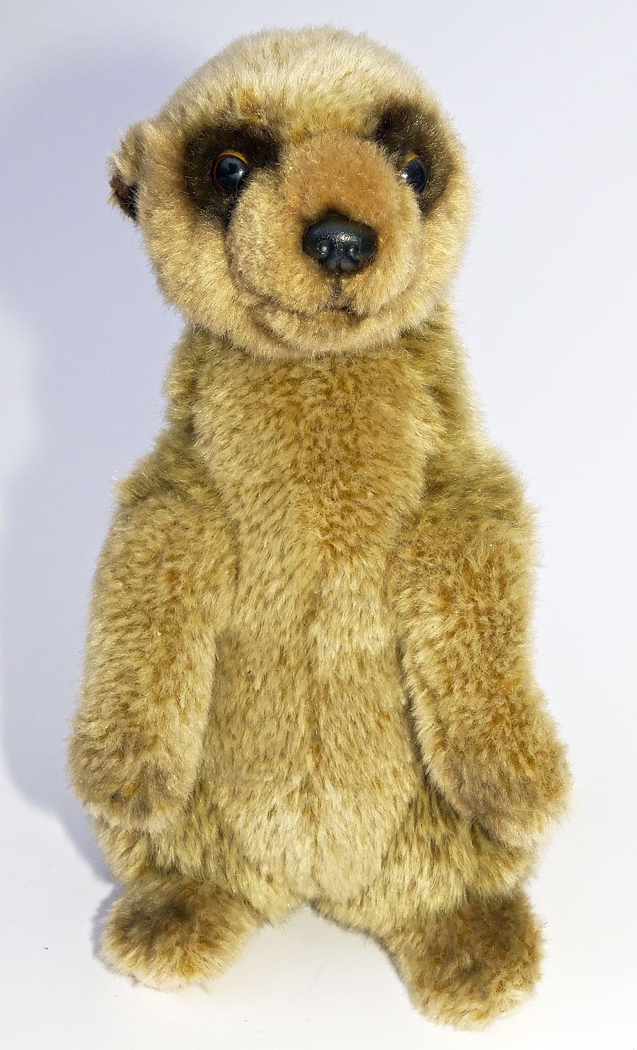 meerkat, soft toy, stuffed animal, figure, animal figure, funny, HD wallpaper