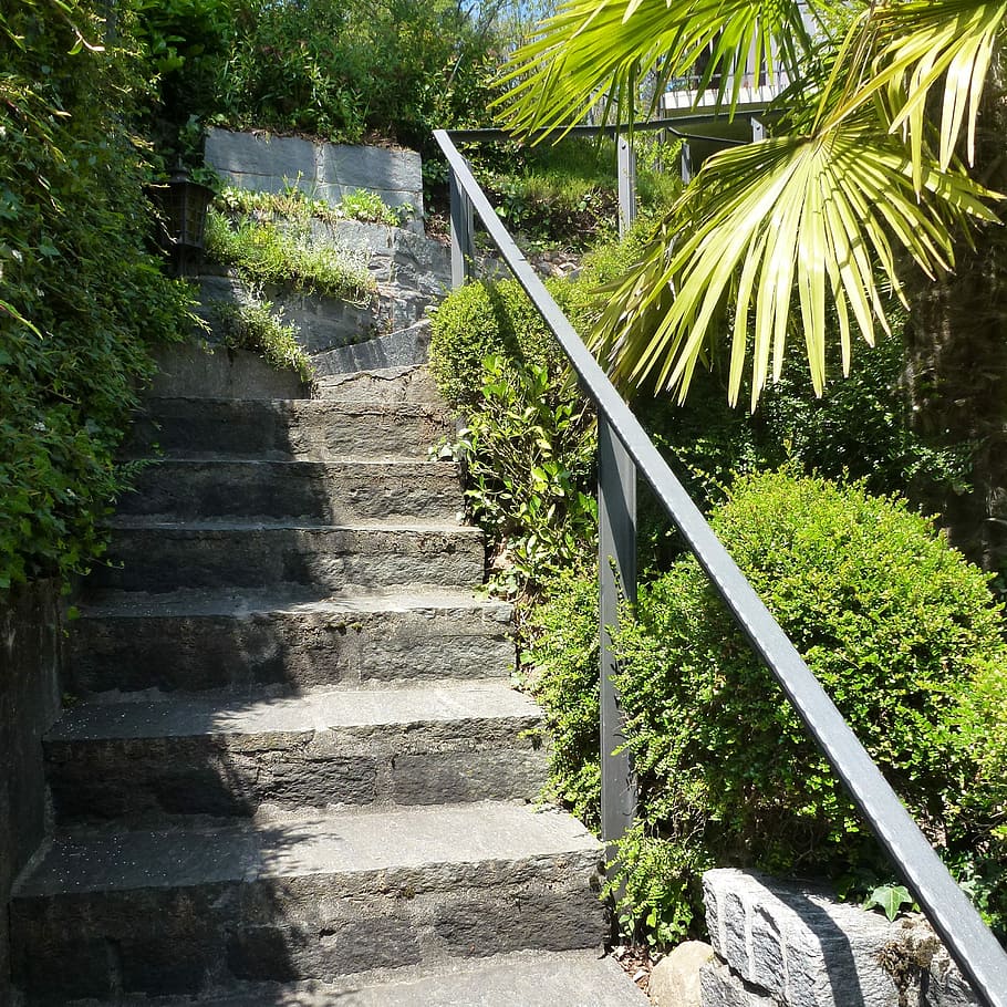 Stairs, Emergence, Railing, gradually, staircase, rise, steps HD wallpaper