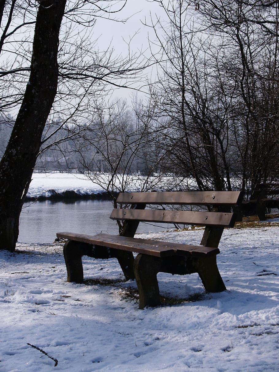 winter, snow, allgäu, cold temperature, tree, bare tree, nature HD wallpaper