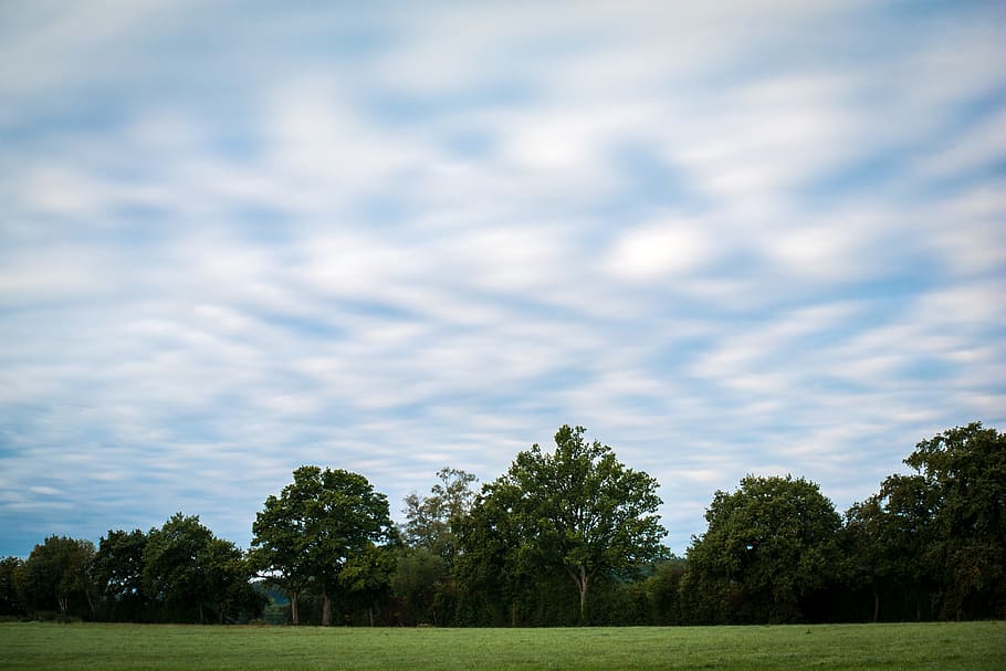 Clouds, Sky, Forest, Meadow, Pasture, blue, clouds form, trees HD wallpaper