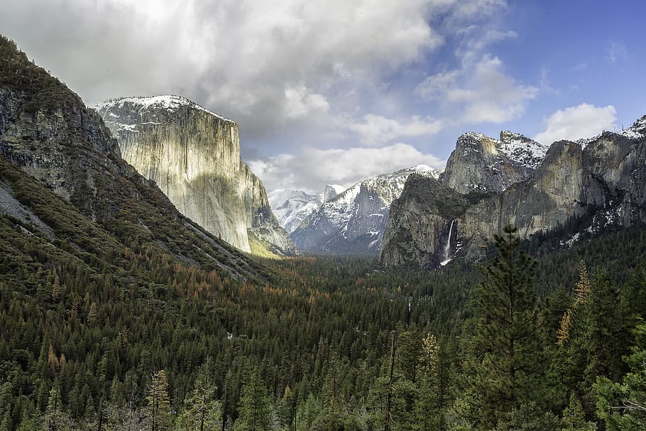 landscape photography of green leaf trees and rocky mountains, panoramic photography of forest and mountains HD wallpaper