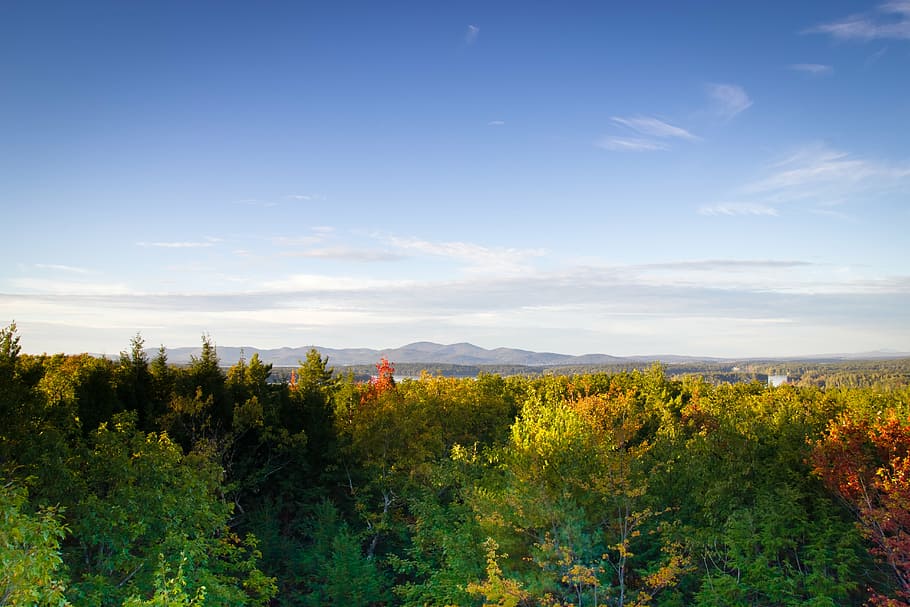 autumn, fall, mountains, nature, trees, yellow, outdoors, landscape HD wallpaper