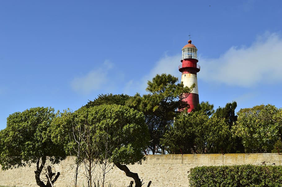 lighthouse, beach, landscape, architecture, mar del plata, tree, HD wallpaper