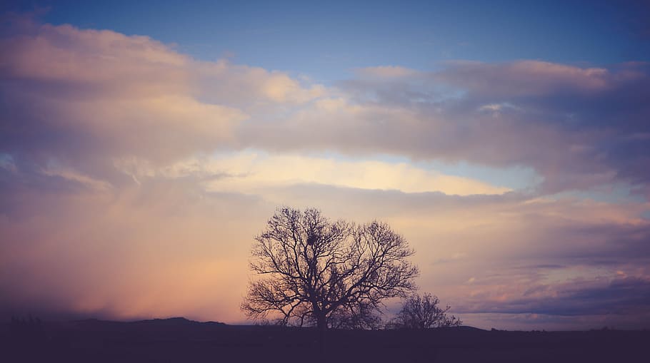 sky, dark, sunset, clouds, tree, mountain, landscape, nature HD wallpaper