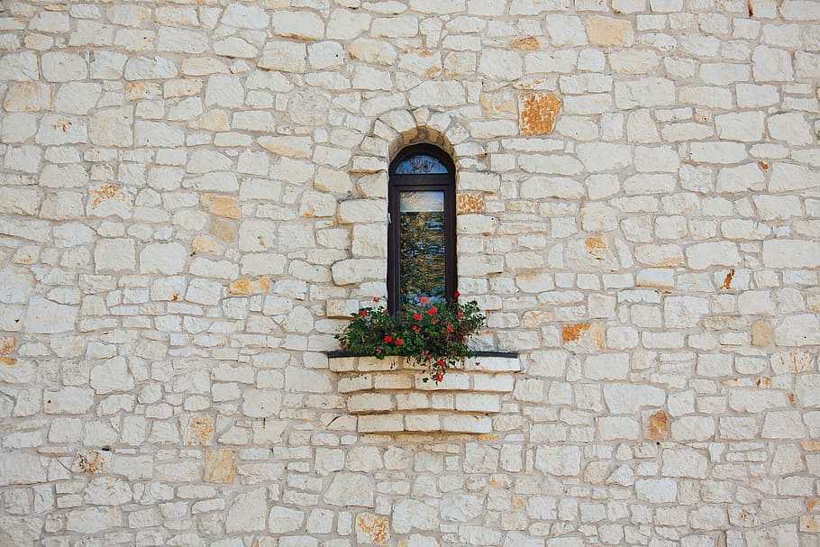 window with plants on awning, green plant with red flowers on white concrete wall HD wallpaper