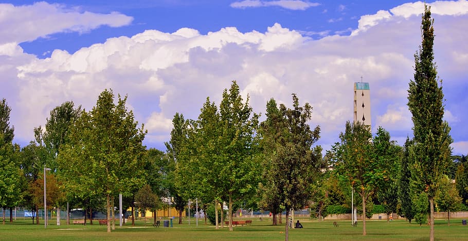 park, gardens, trees, sky, clouds, campanile, grass, green HD wallpaper
