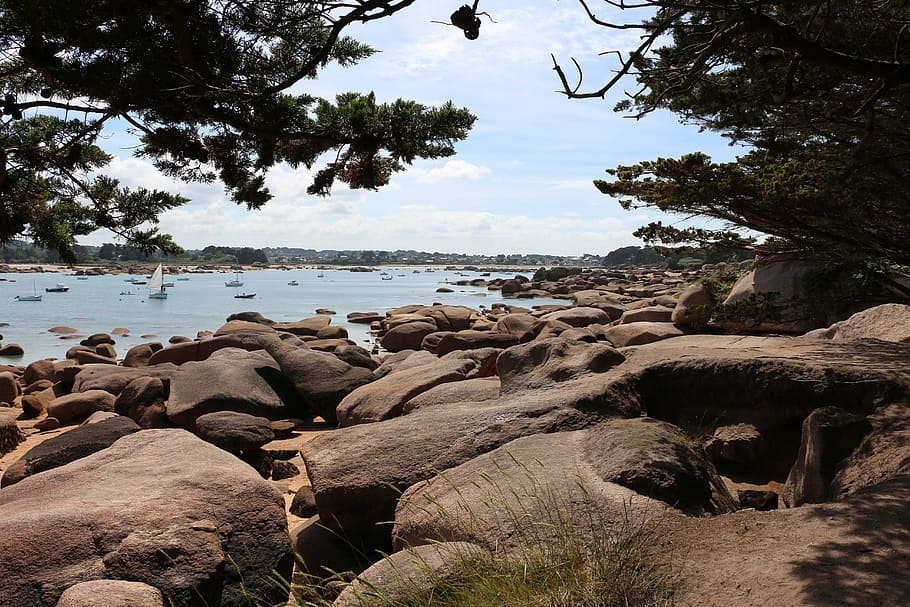 Brittany, Sea, Tree, Green, Blue, Blue, Sky, landscape, side HD wallpaper