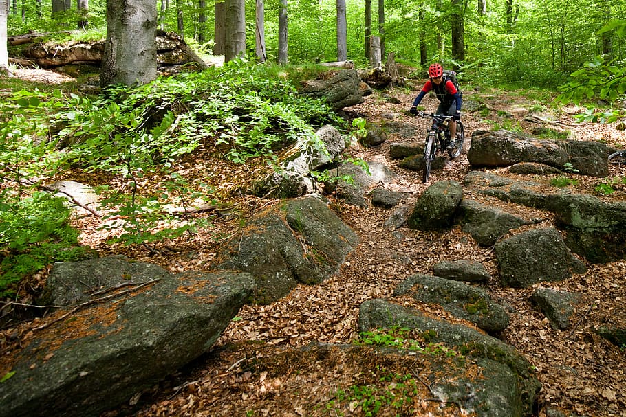 Cyclist, Forest, Stones, Round, one man only, one person, bicycle HD wallpaper