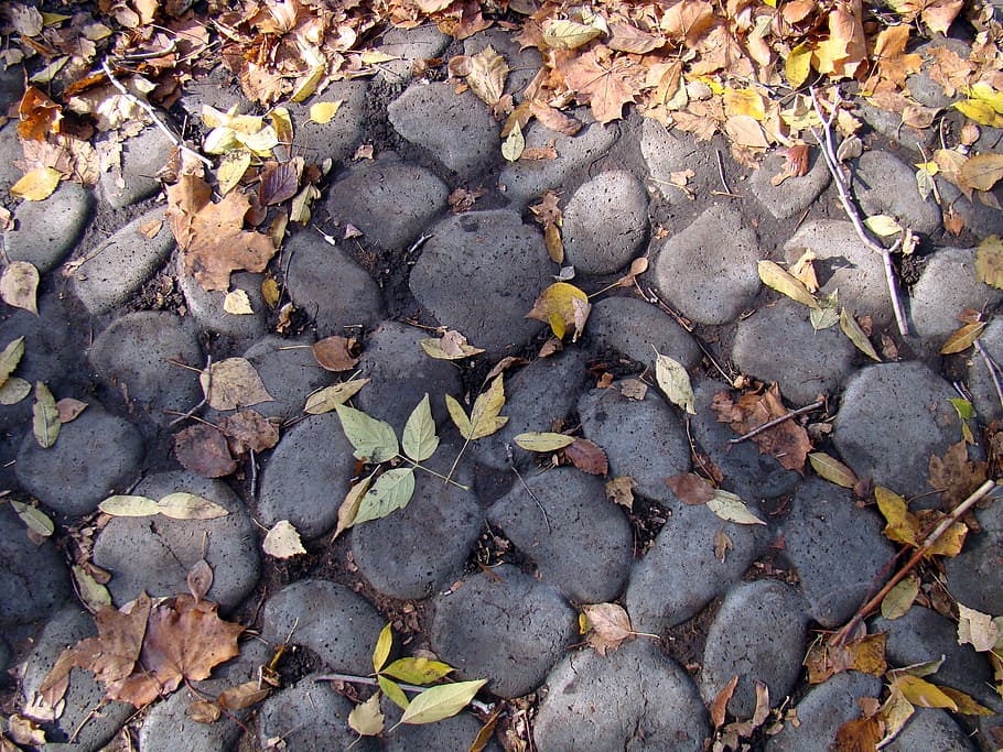 stones, bridge, cobblestones, leaves, autumn, leaf, plant part, HD wallpaper