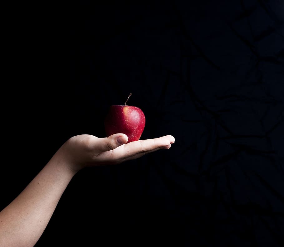 red apple fruit on person's palm, hand, black background, the background, HD wallpaper