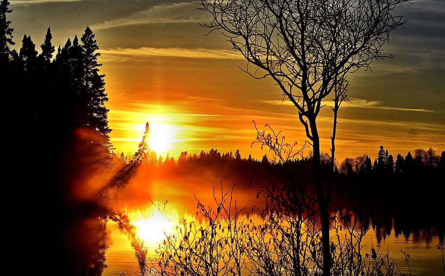 sunset, landscape, twilight, tree, cloud, lake, summer, contrast HD wallpaper