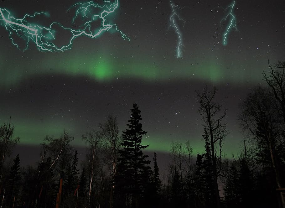 lightning, trees, forest, night, weather, landscape, thunderstorm HD wallpaper