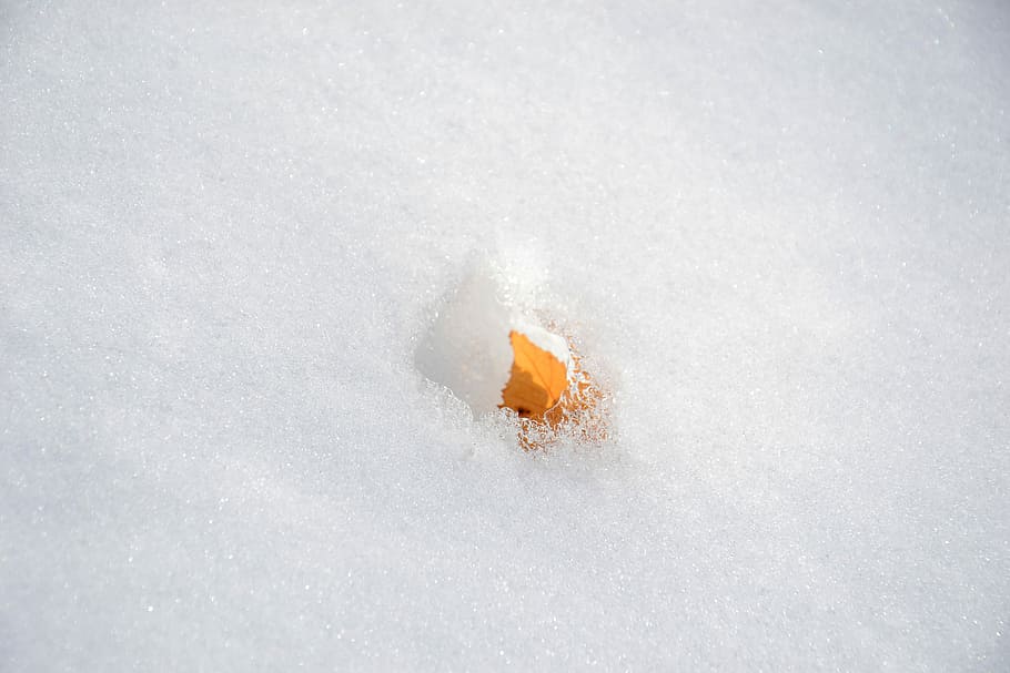 white crashed ice, snow, sheet, nature, forest, nast, snowdrifts HD wallpaper