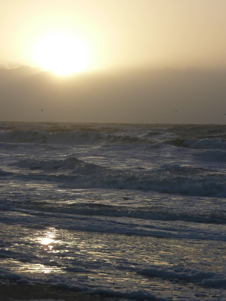 sea, sylt, sunset, coast, north sea, landscape, evening, light HD wallpaper