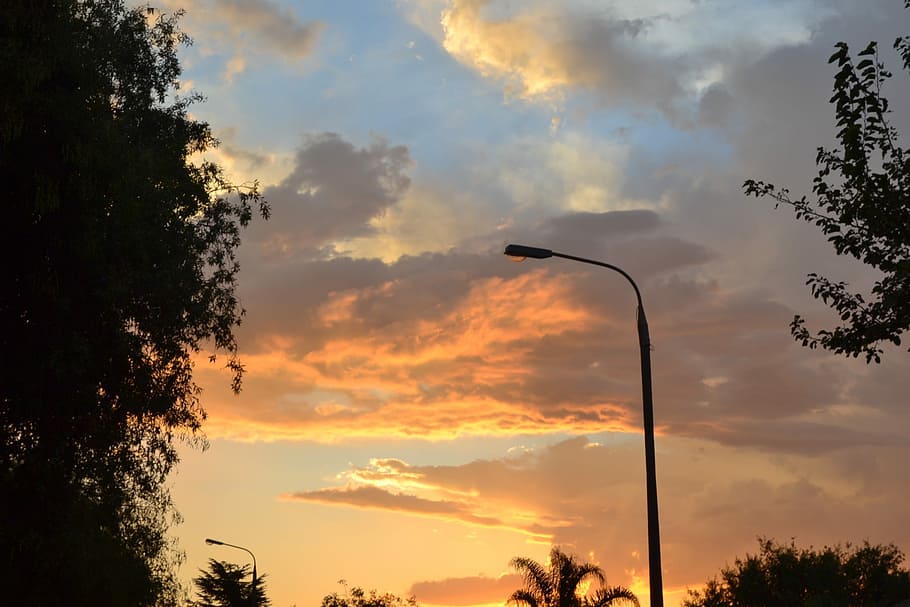 Sunset, Suburb, Trees, Landscape, evening, architecture, nature HD wallpaper