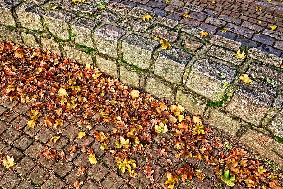 wall, stone, curved wall, masonry, structure, leaves, autumn leaves HD wallpaper