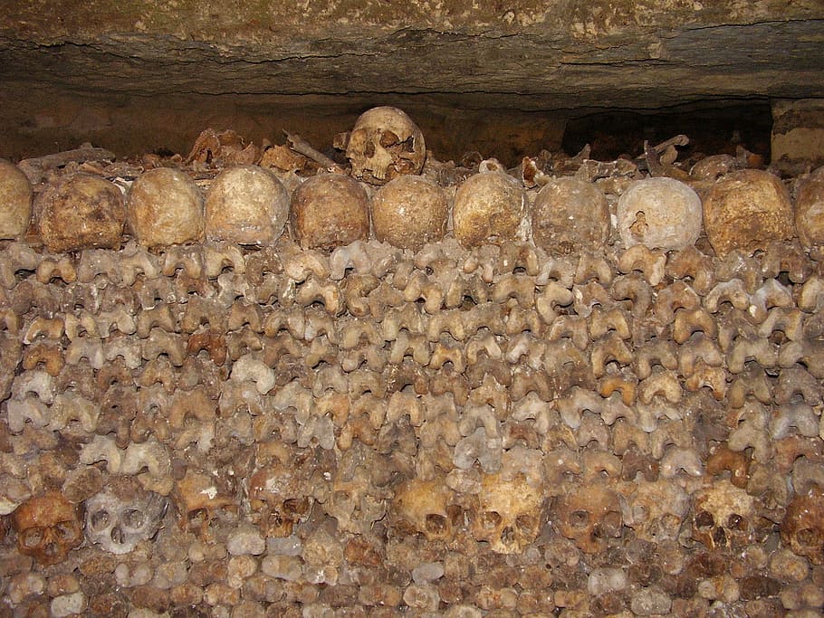 catacombs, skulls, bone, bones, crane, skeleton, death, brown HD wallpaper