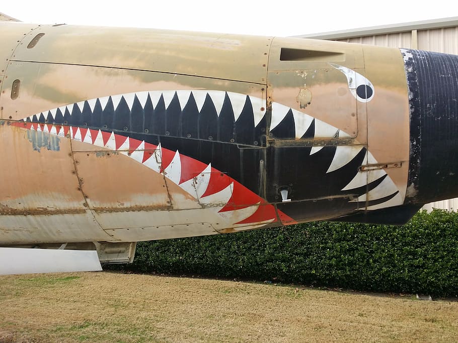 fighter jet, 1950s, 1960s, vietnam war, f-105, thunderchief