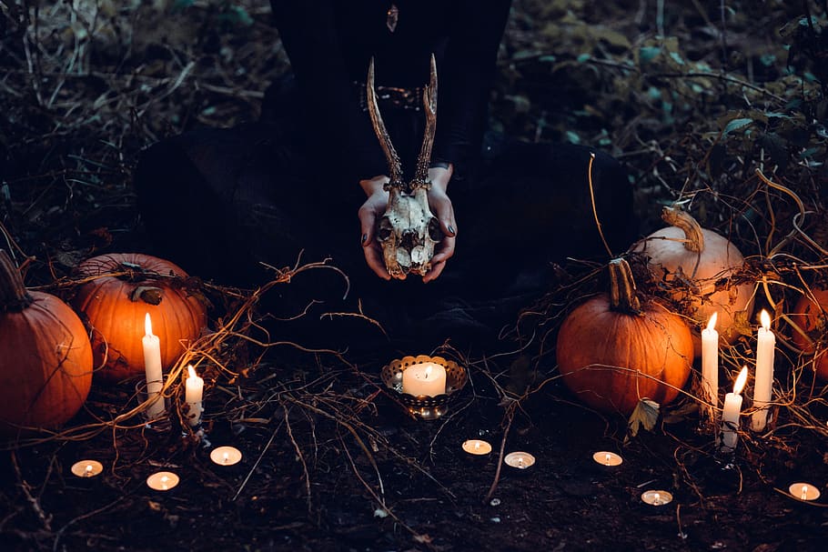 Halloween Night with skulls and pumpkins, photos, holiday, public domain