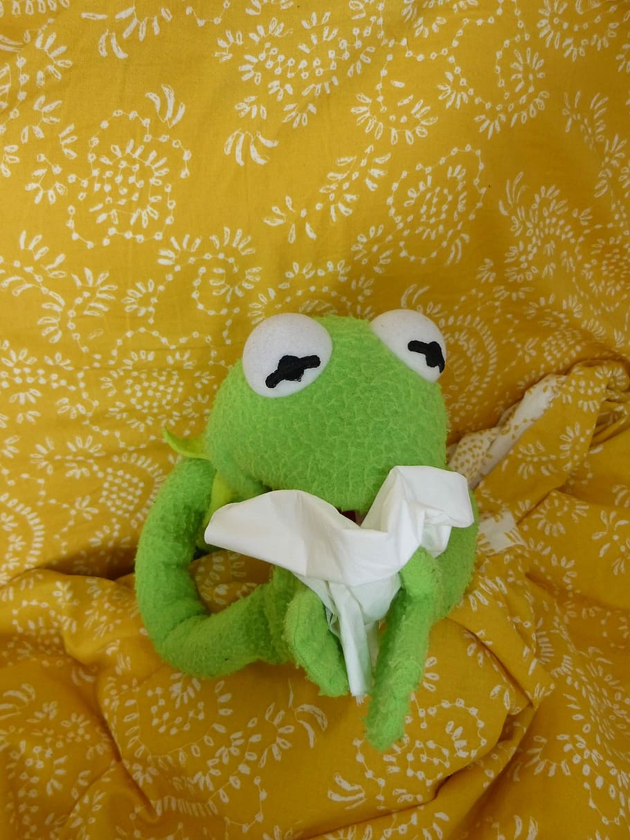 Hermit the Frog plush toy, Ill, Cold, Sniff, Handkerchief, Kermit HD wallpaper