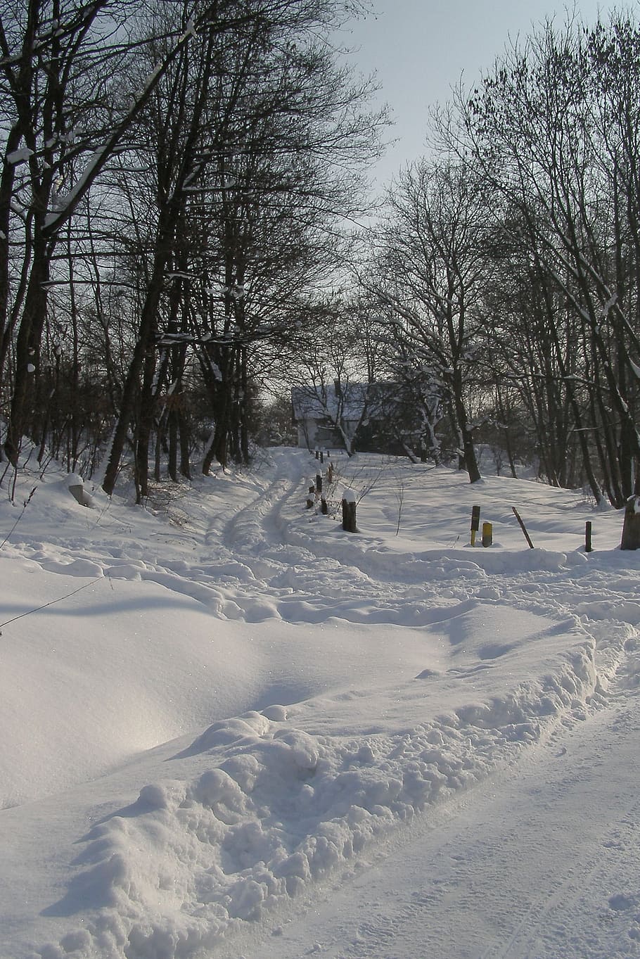 snow, way, winter, traces, cottage, tree, landscape, malopolska HD wallpaper