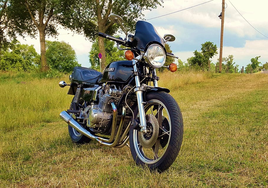 motorcycle, meadow, summer, fun, plant, transportation, tree HD wallpaper