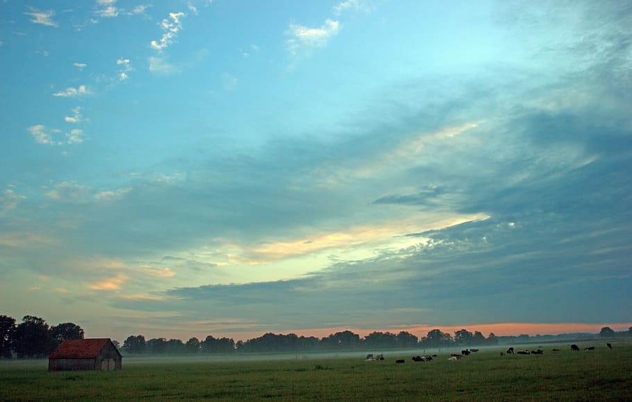 Landscape, Nature, Clouds, sky, cloud - sky, beauty in nature HD wallpaper