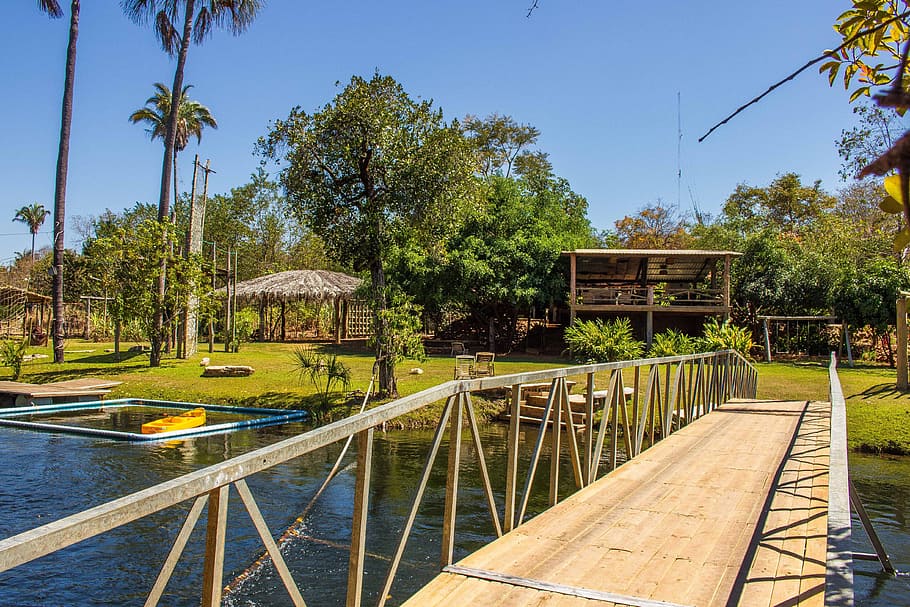 bridge, rio, rapids, tree, plant, nature, water, architecture HD wallpaper