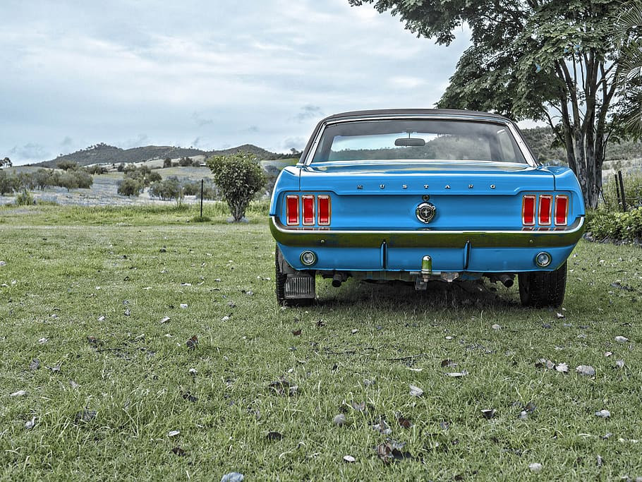 mustang, old, auto, speed, vintage car automobile, classic, HD wallpaper