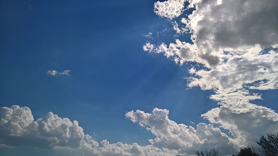 merchant louis, moss, clouds, light, sky, cloud - sky, blue HD wallpaper