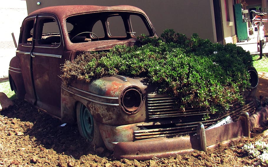 vintage car with green plants during daytime, old, rust, antique HD wallpaper