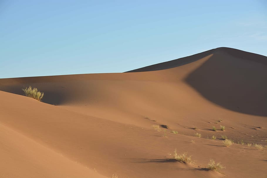 sahara, sand, dune, sand Dune, desert, dry, nature, africa HD wallpaper