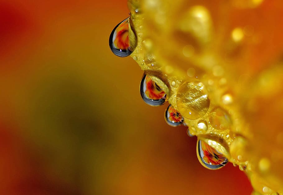 drop, droplets, high speed photography, india, refraction, yellow, HD wallpaper