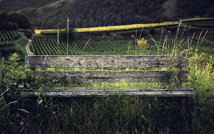 agriculture, bench, countryside, cropland, daylight, environment, HD wallpaper