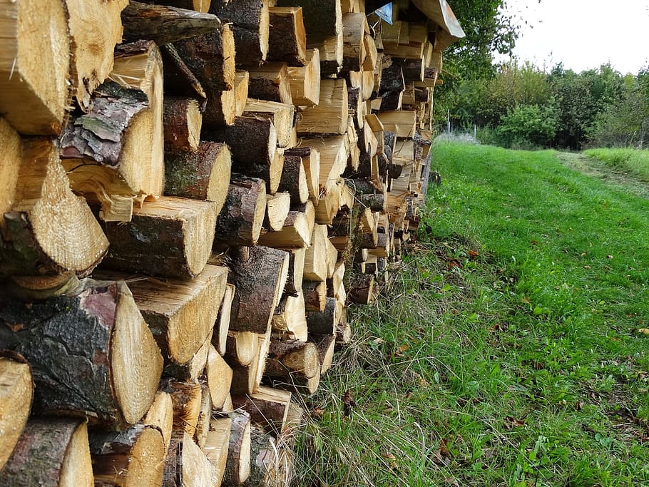halzstapel, tree trunks, firewood stack, timber, log, wood - material HD wallpaper